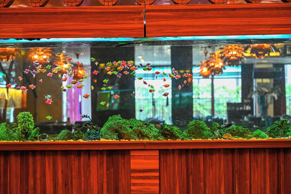 Gold Majesty Hotel 4/63