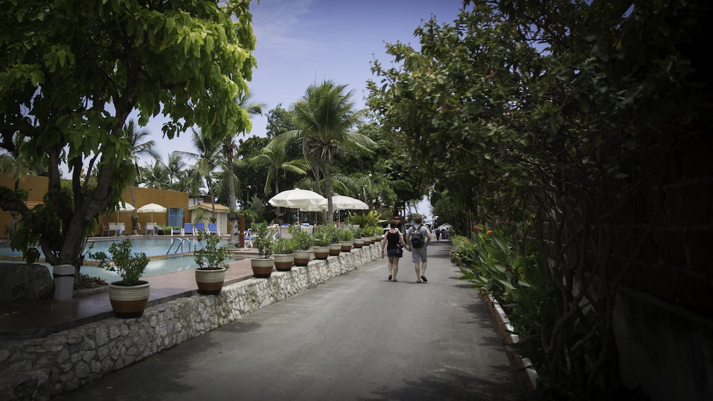 Twin Palms Resort 52/52