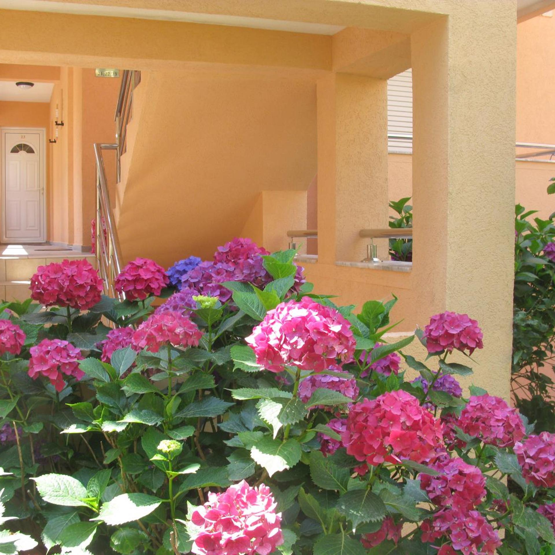 Garni Hotel Koral 43/50