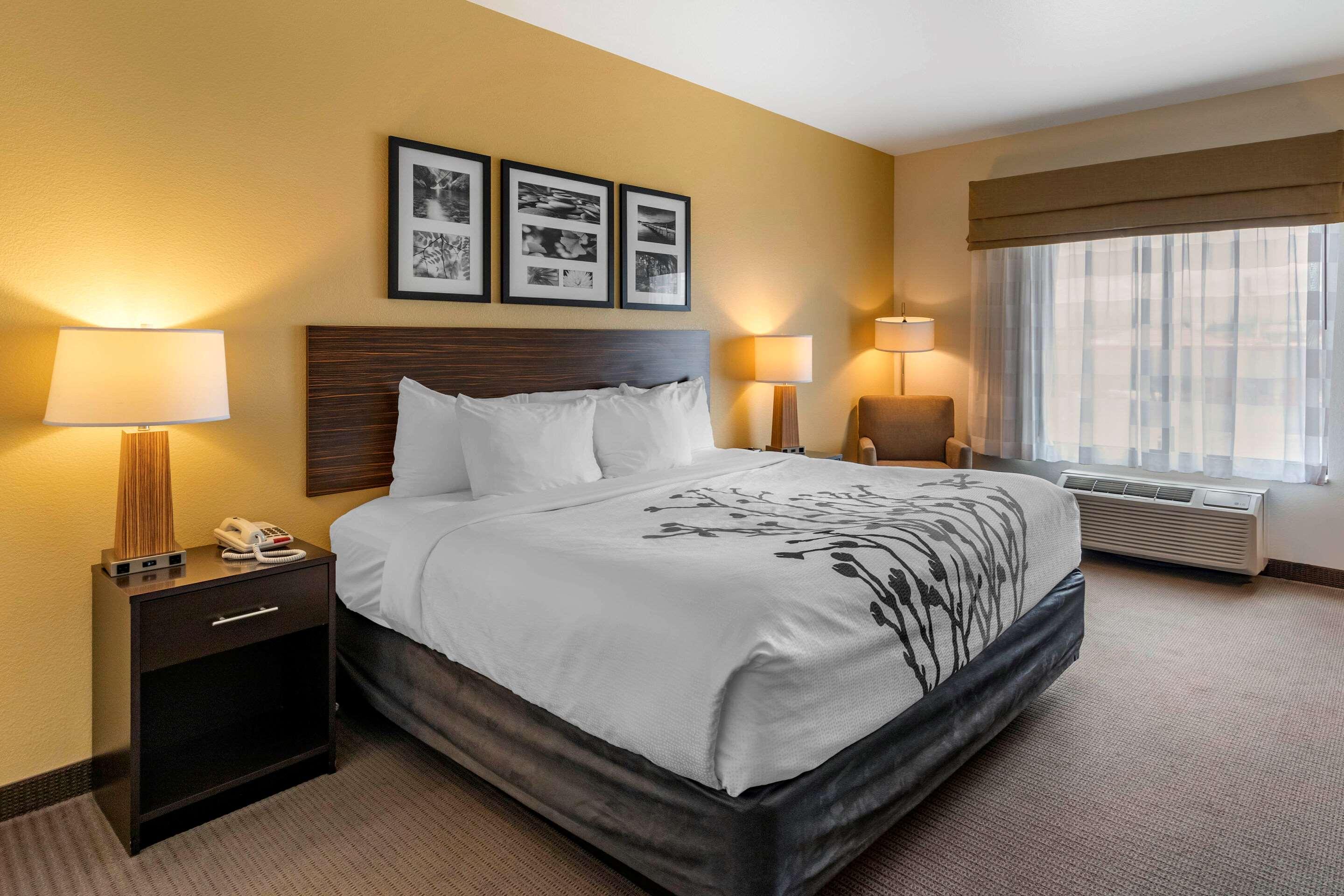 Room, King Bed, Sleep Inn & Suites Miles City I-94 3/4