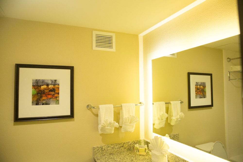 Holiday Inn Murfreesboro 22/54