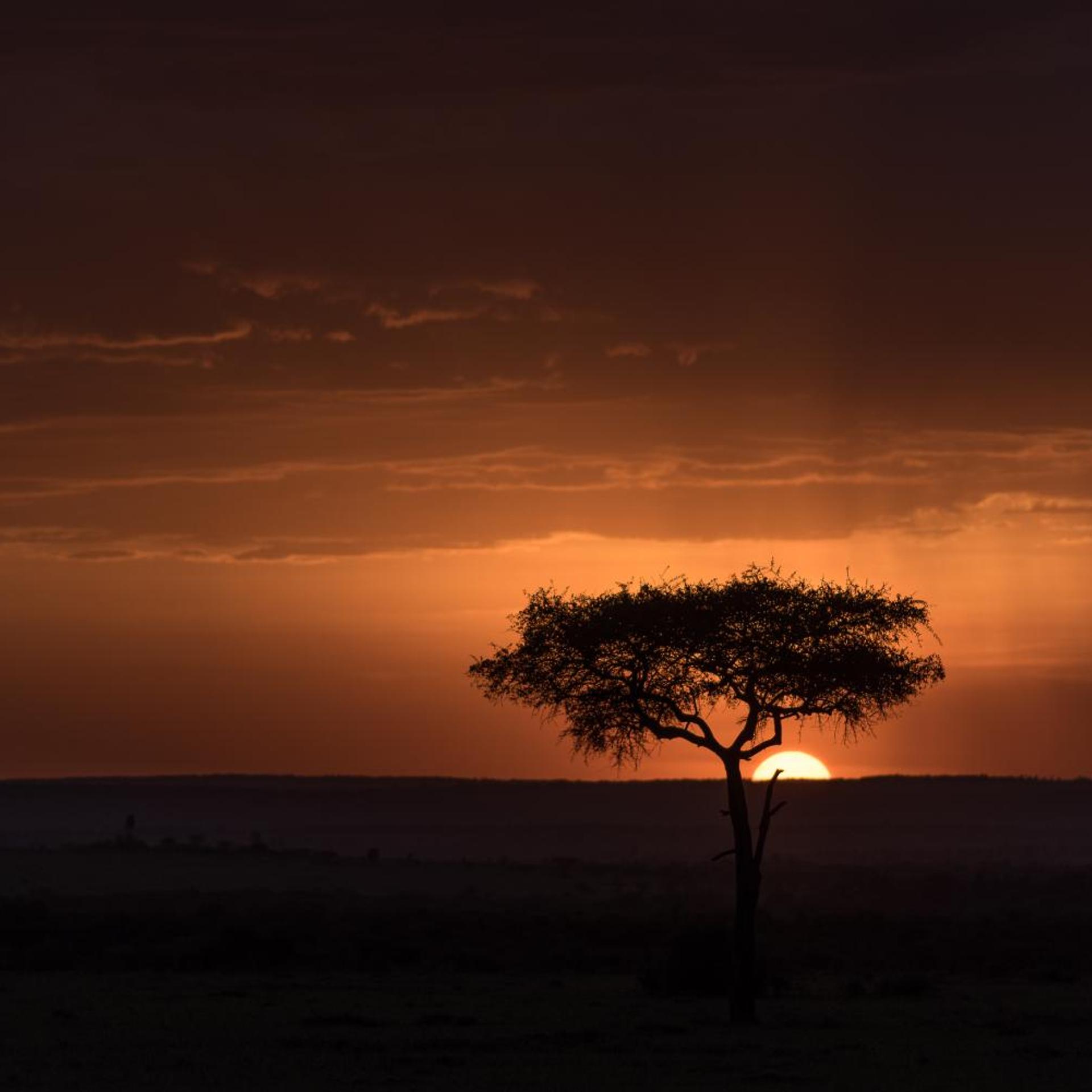 Africa Safari Maasai Boma 53/58
