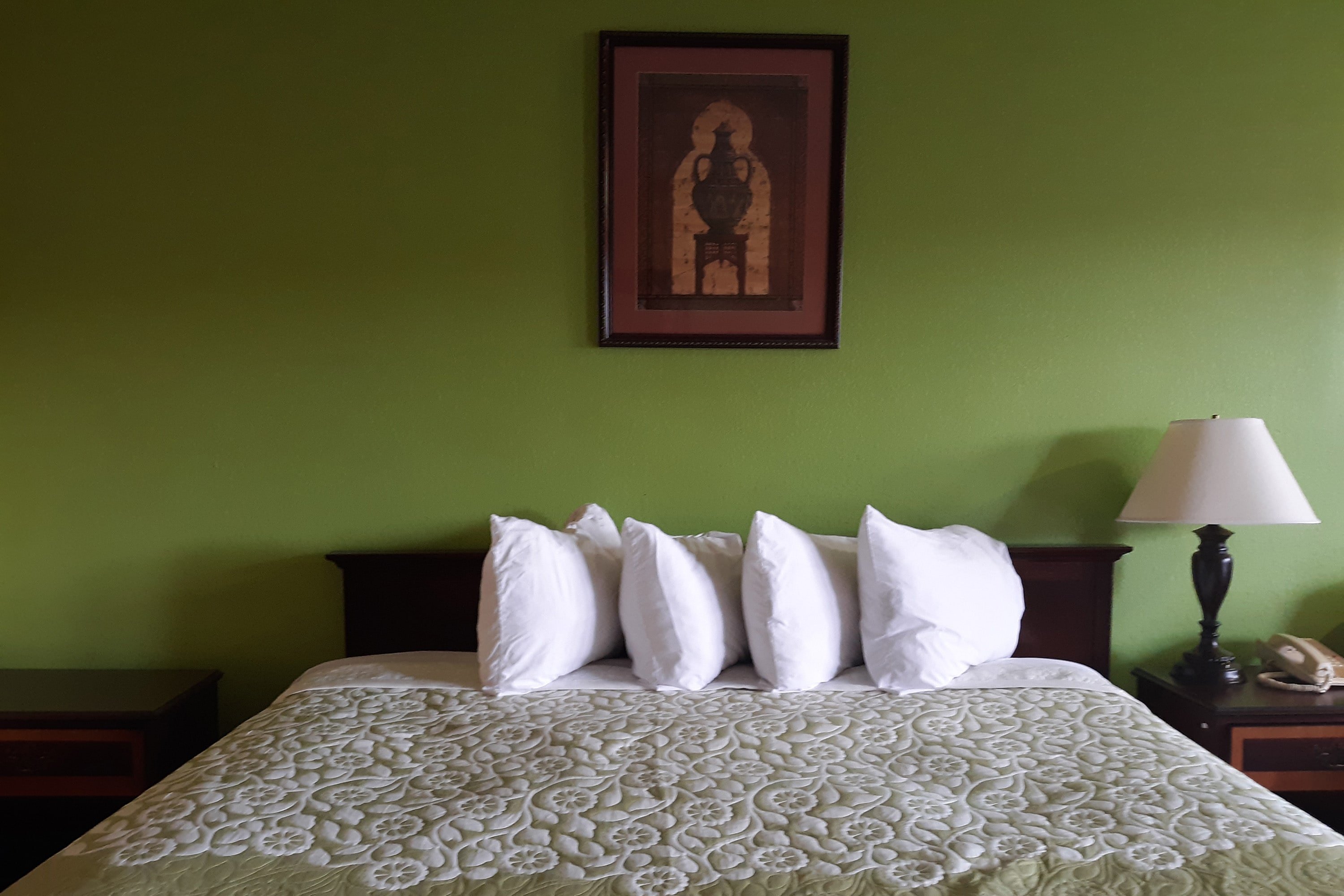 OYO Hotel Williamston 32/48