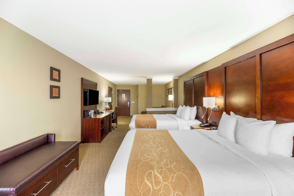 Comfort Suites Carlsbad 13/48