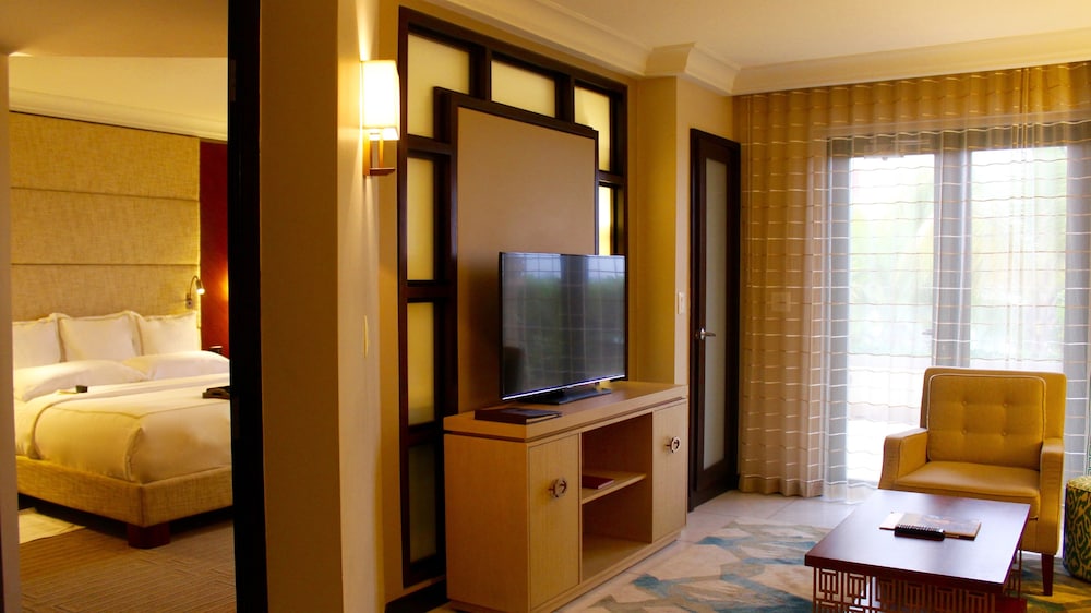 Condado Vanderbilt Hotel 37/69