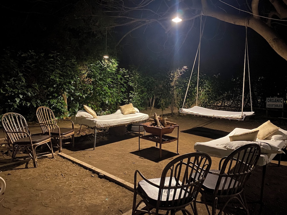 Asiatic Lion Lodge 25/50