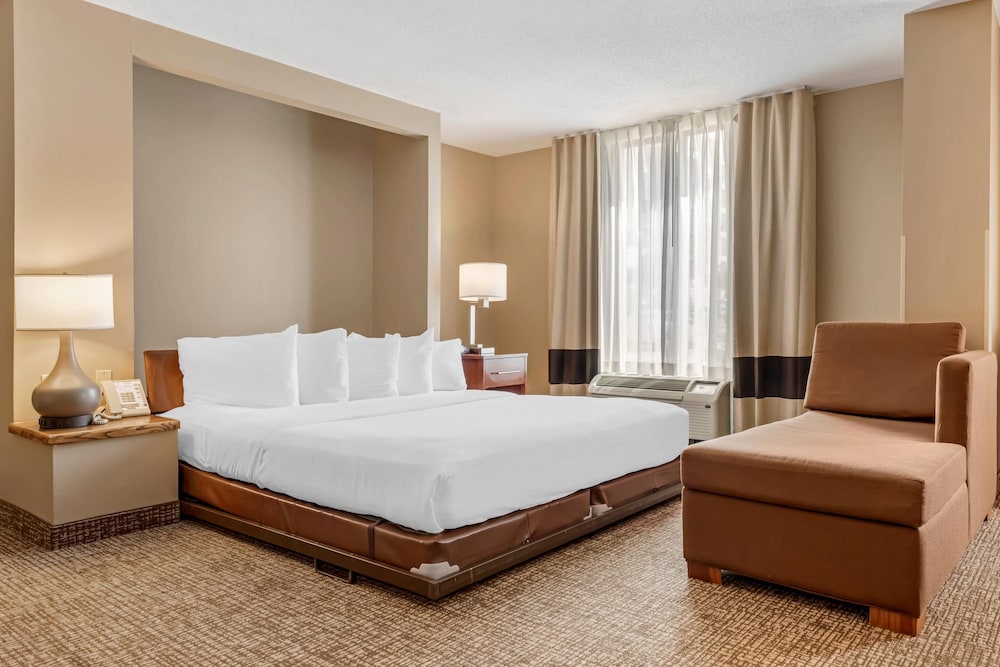 SUITE, QUEEN BED