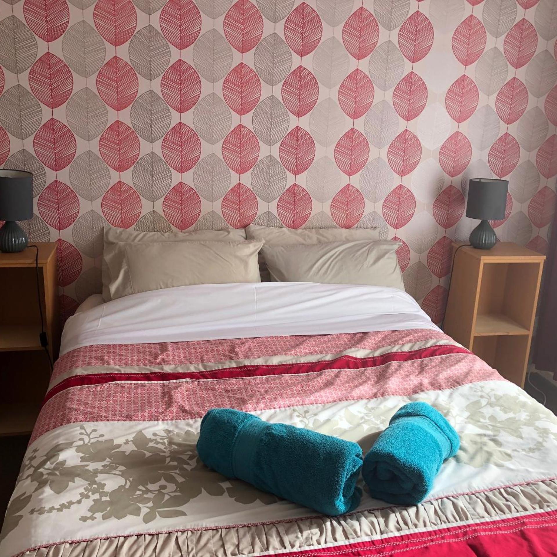 The Bug Backpackers Hostel 20/50