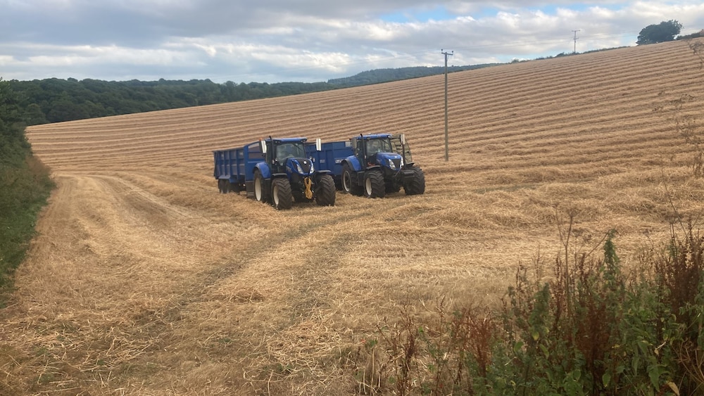 Lower Thornton Farm 36/46