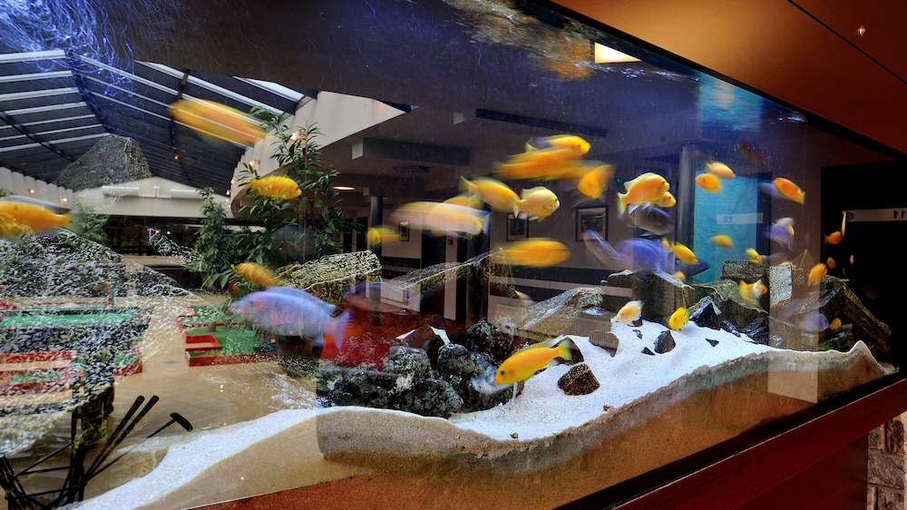 Hotel Diament Spodek Katowice 3/28