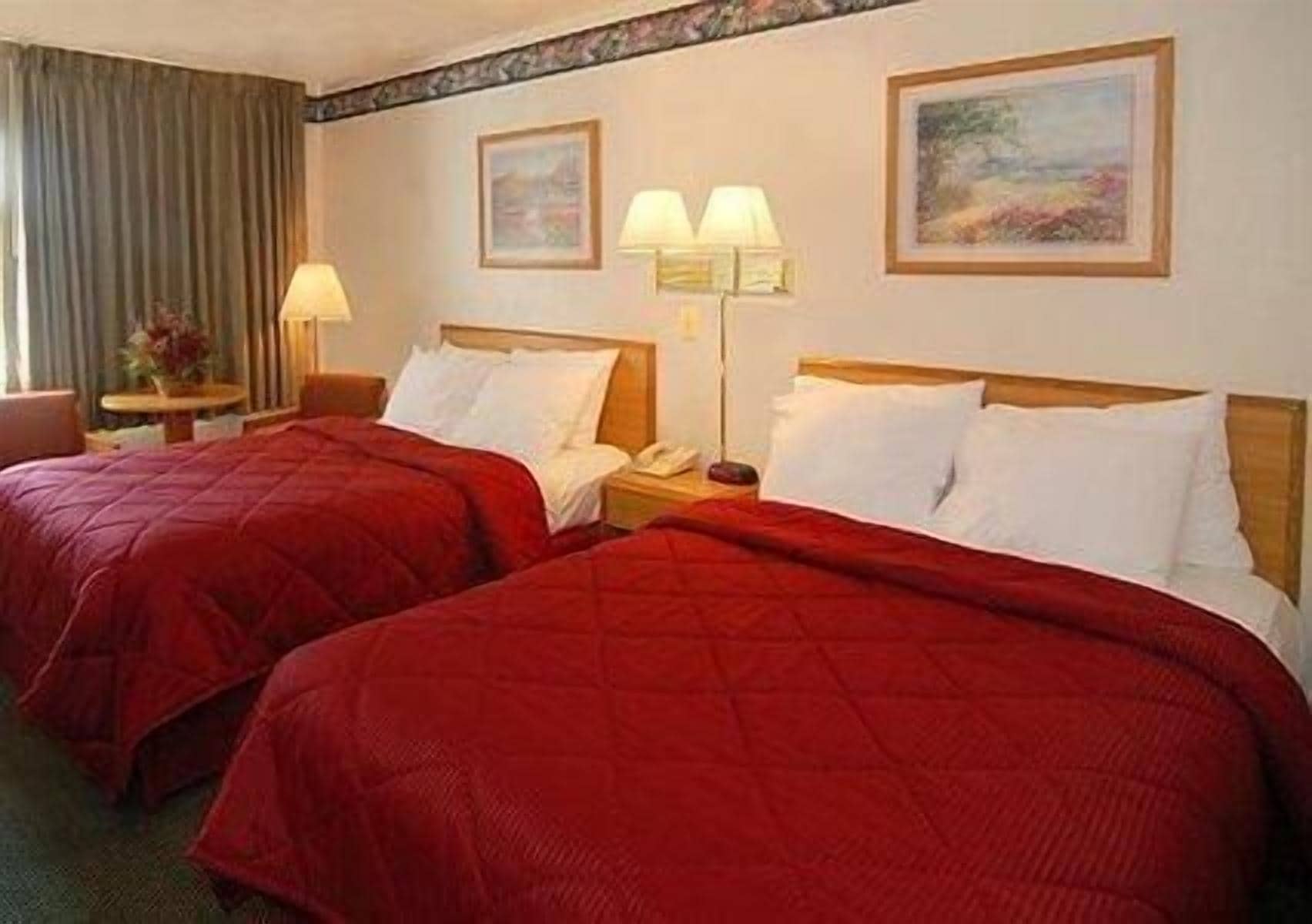 Standard, 2 Double Beds