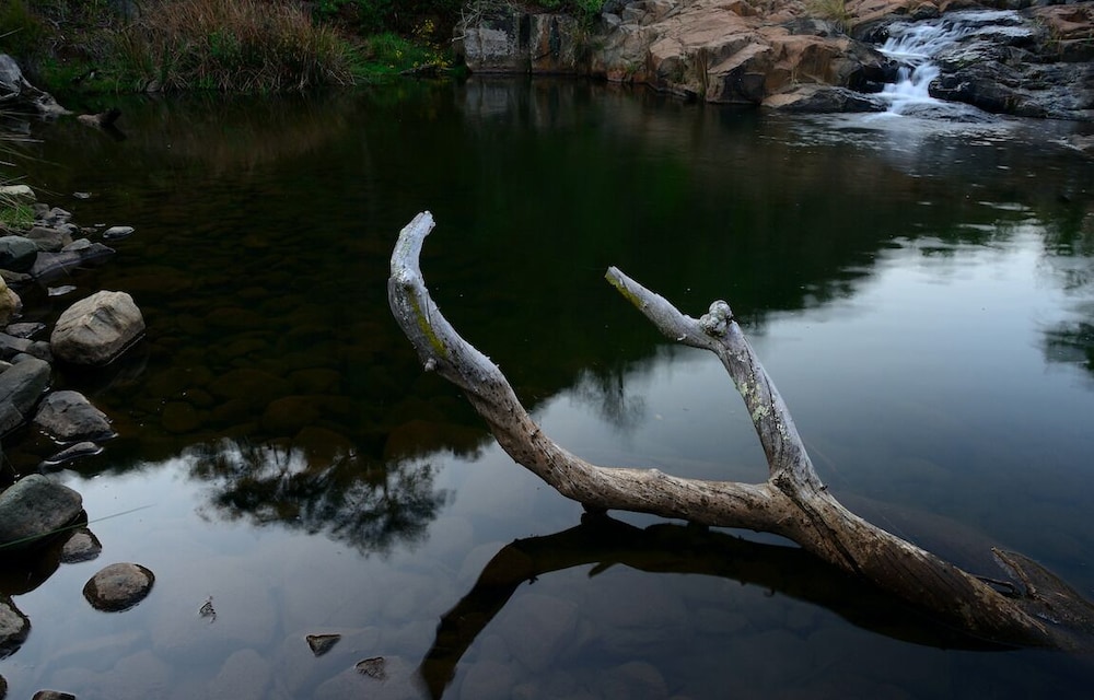 Rocky Drift Private Nature Reserve 31/50