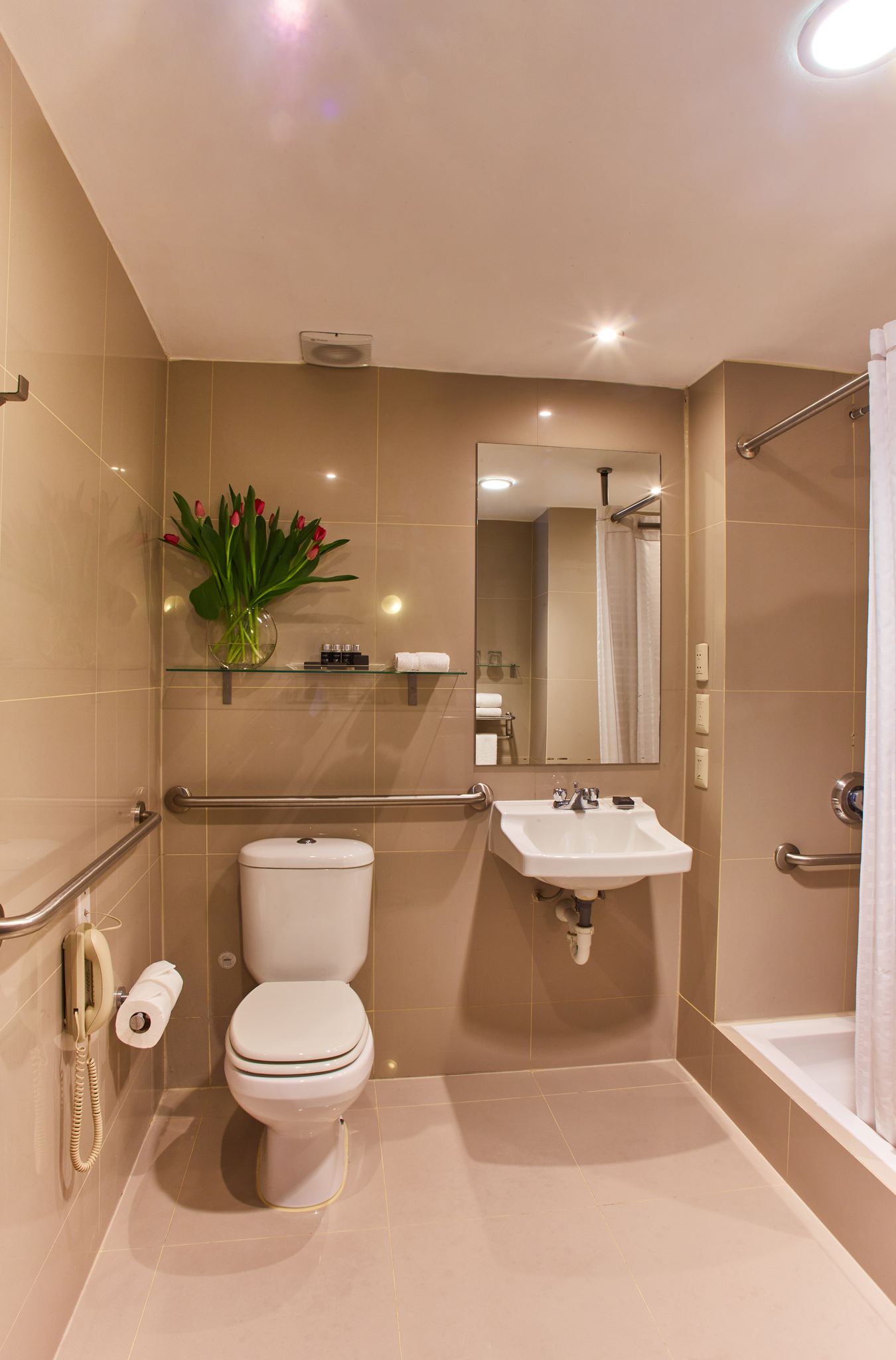 غرفة سوبيريور بسريرين مزدوجين لذوي الإعاقة، Pullman Lima San Isidro 6/7