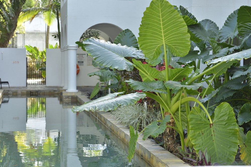Mantra Portsea Port Douglas 55/62