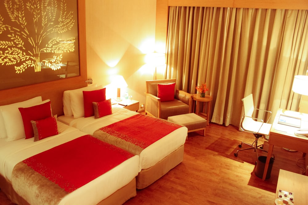 Radisson Blu Hotel, New Delhi Dwarka 16/50
