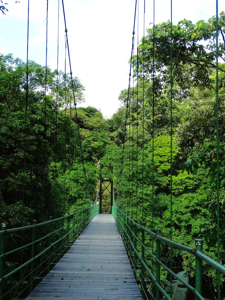 La Selva Biological Station 47/50