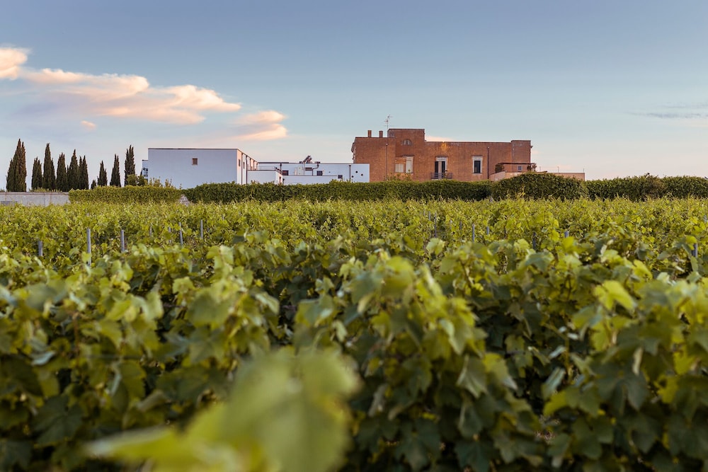 Tenuta Giardini Nuovi 23/33