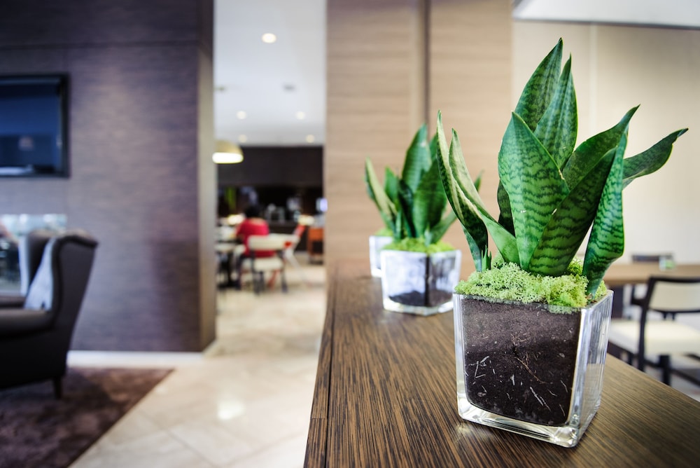 ENJOY GARDA HOTEL 6/69