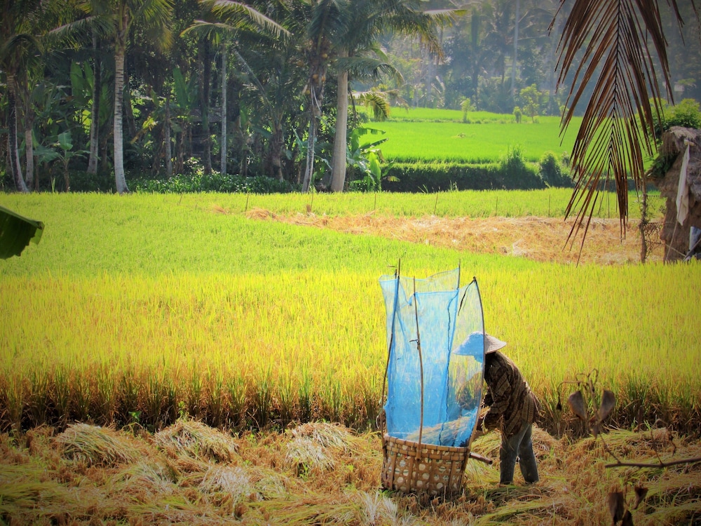 Temuku Villas Ubud 41/50