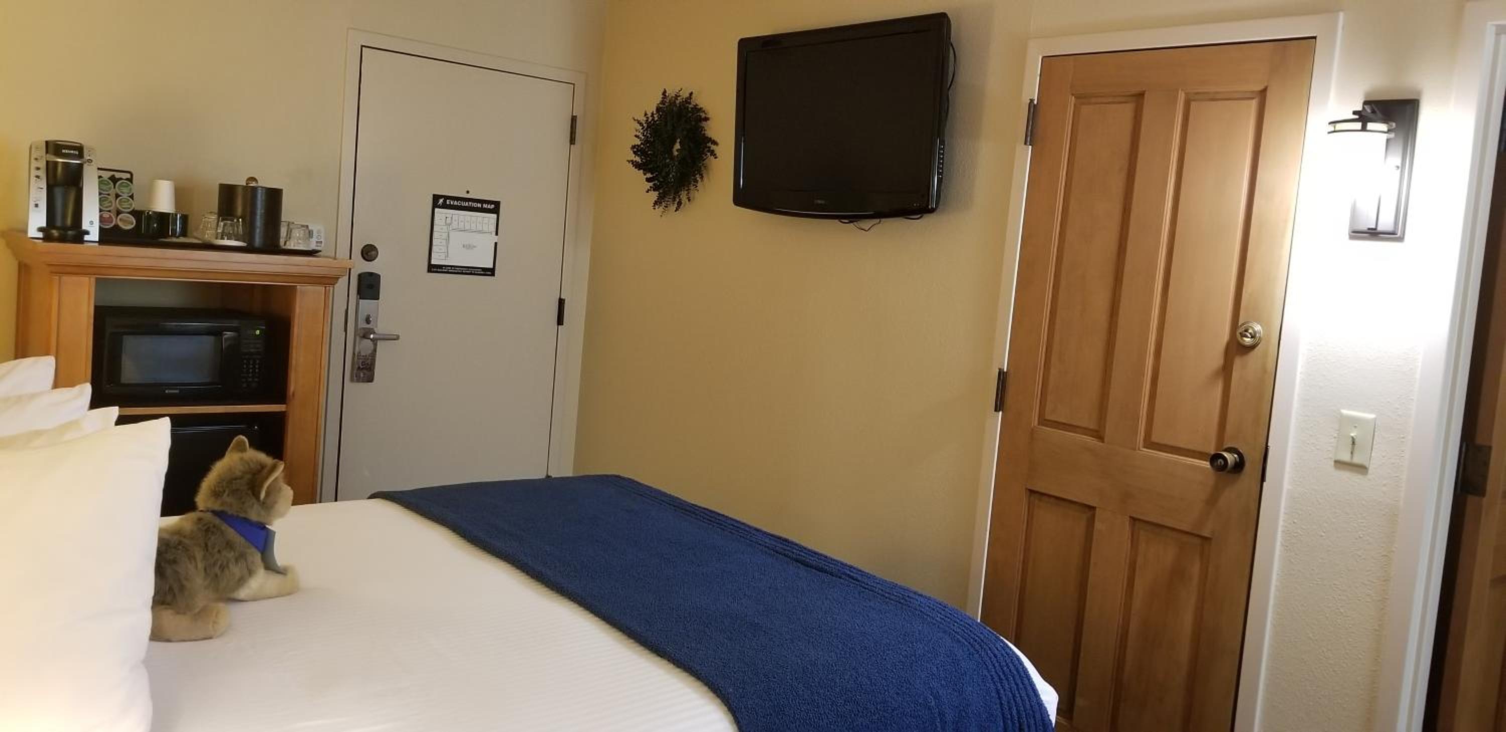 Compact, Courtyard, Queen Bed
