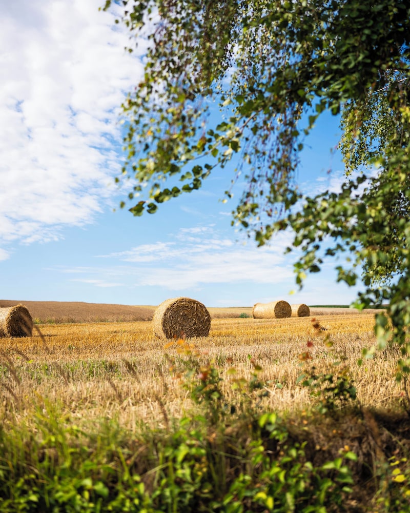 Doslonce Resort Wellness & Farm 67/70