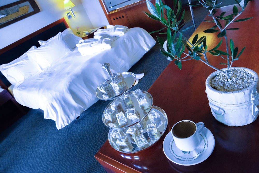 地中海酒店(Mediterranean Hotel Rhodes) 图片2