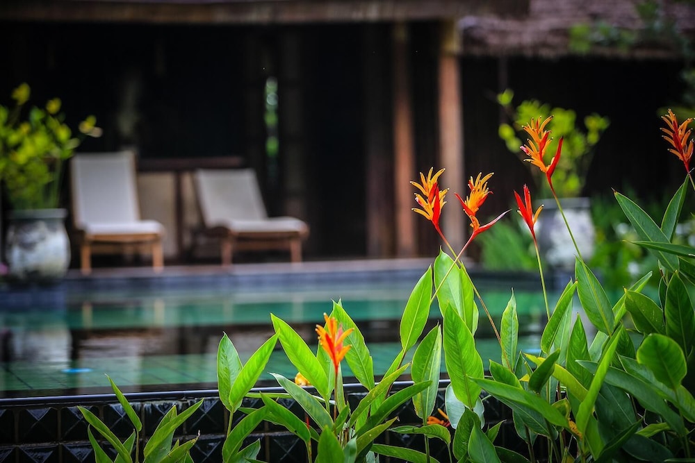 Azalea Village Wellness Resort 61/69