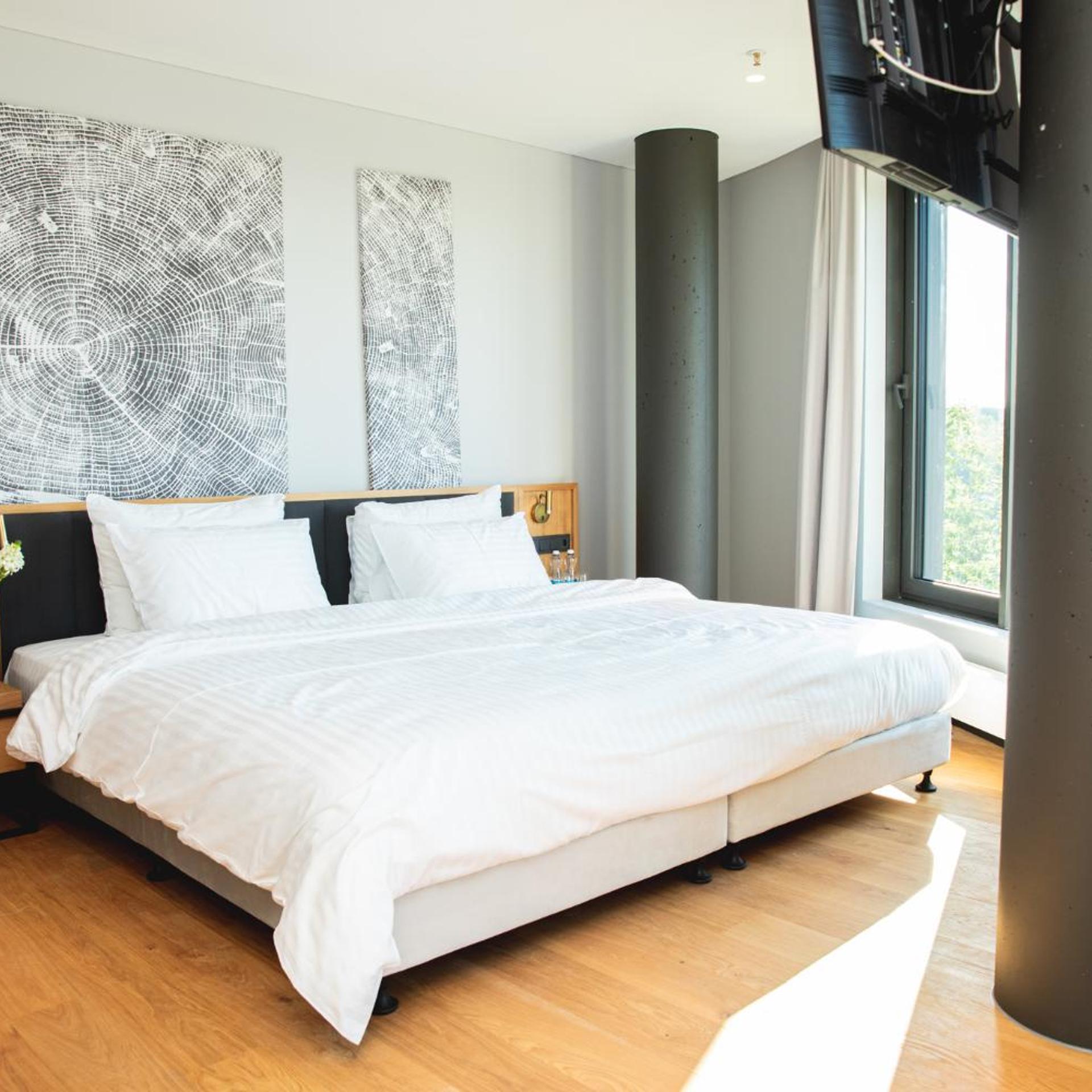 Deluxe, Suite, Pool Access