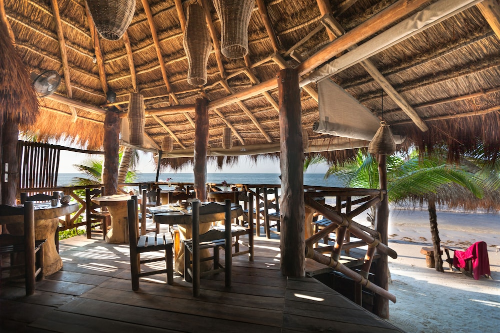 Beachfront Hotel La Palapa - Adults Only 25/36
