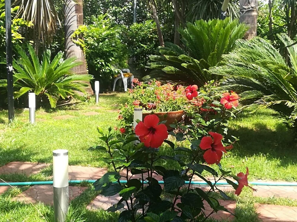 Beatrice Home B&B 40/47