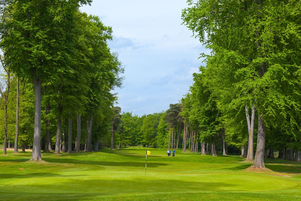 Forest Pines Spa and Golf Resort 46/50