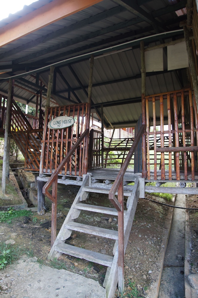 Sabah Tea Garden 60/70