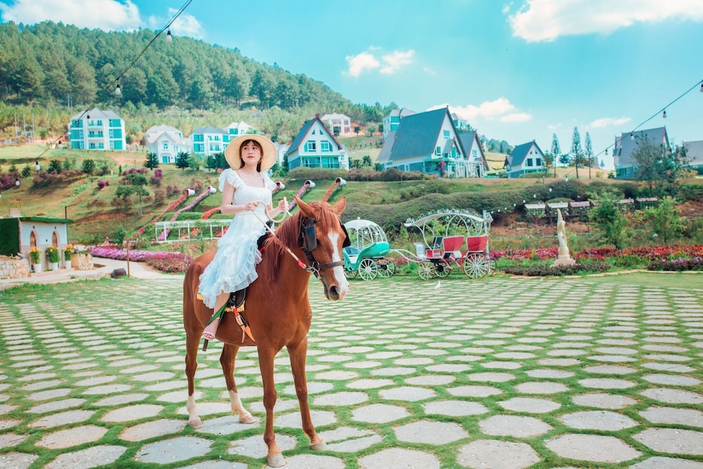 Dalat Wonder Resort 68/78