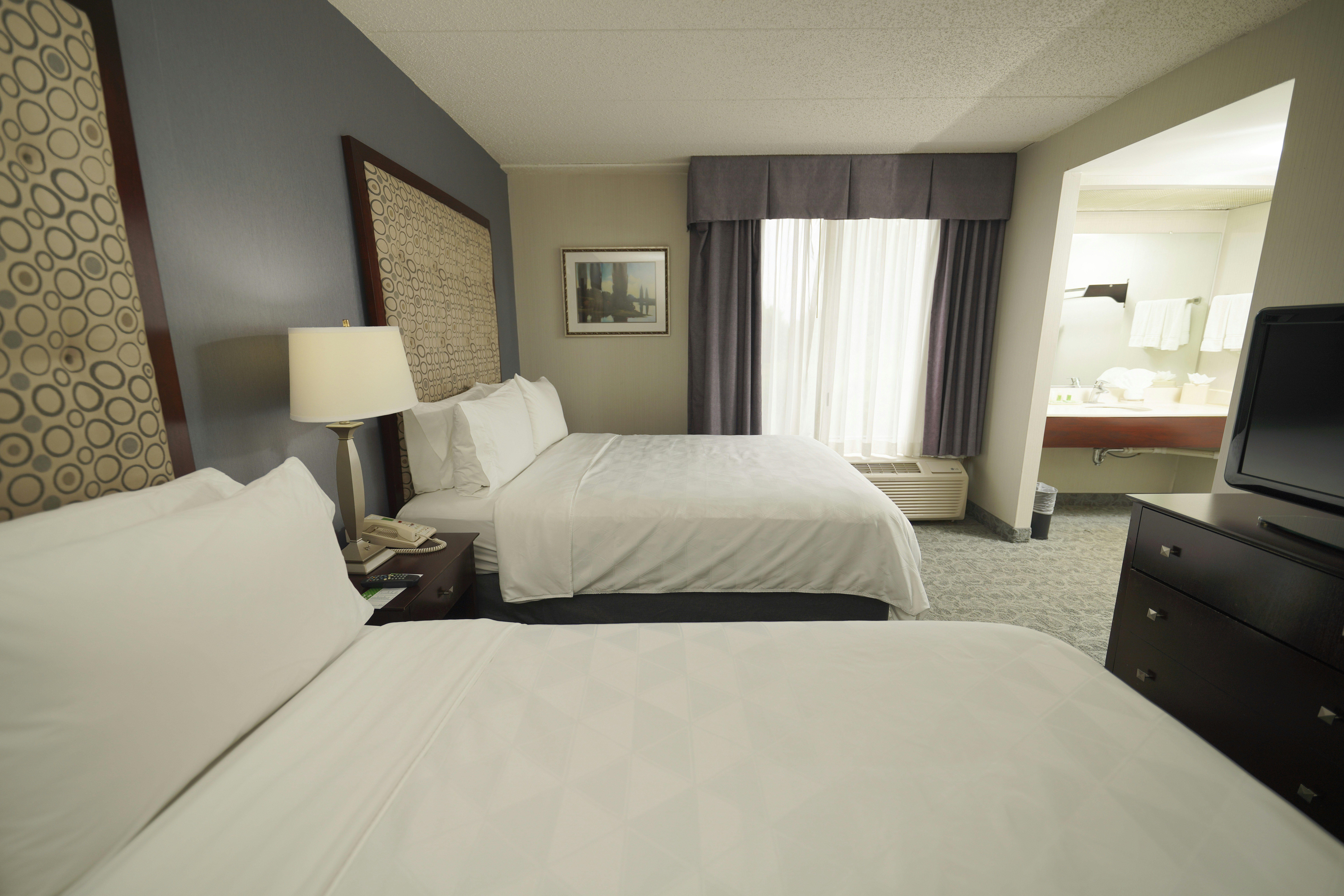 Holiday Inn Hotel & Suites Chicago-Carol Stream(Wheaton) 14/76