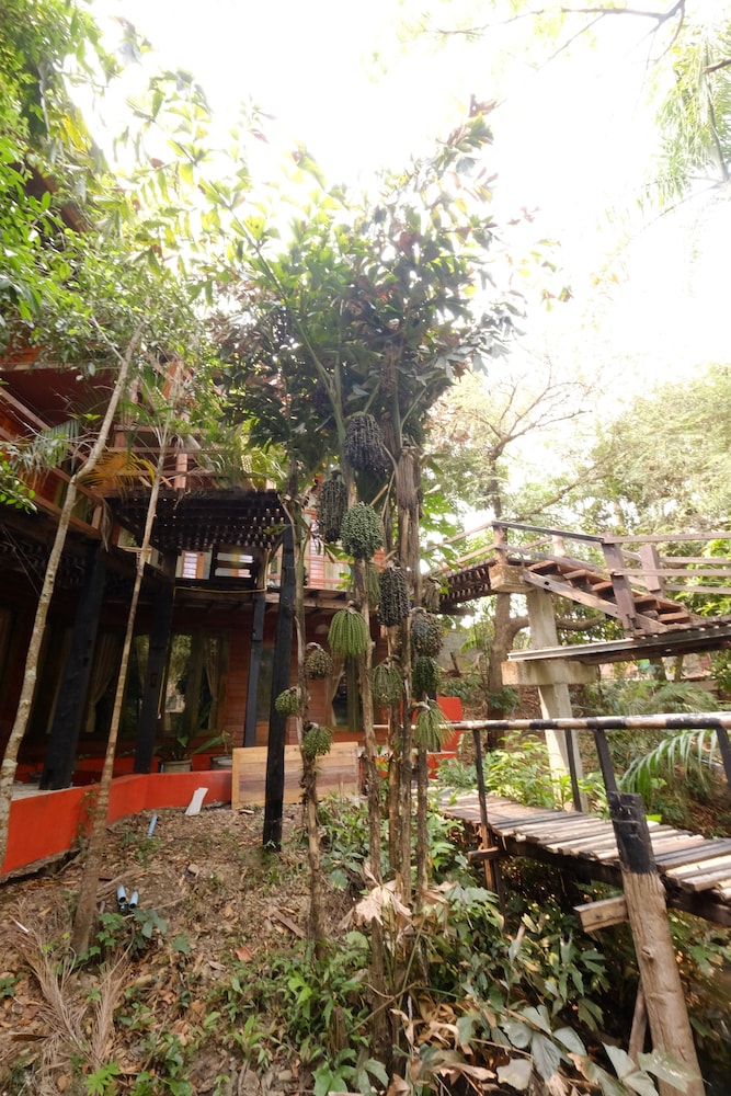 P P Coffee Resort Maesariang 30/50