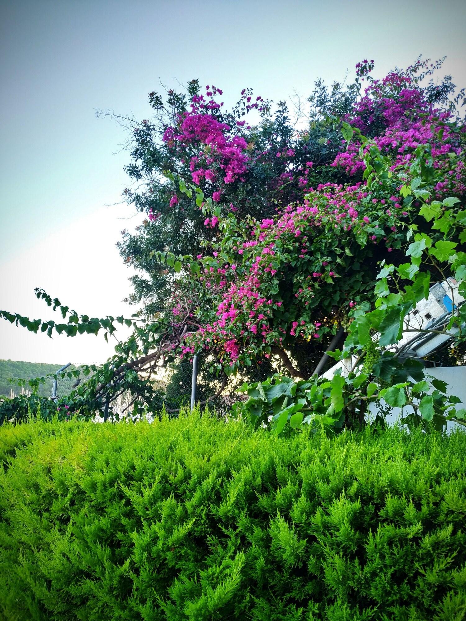 Yalcin Hotel 56/63