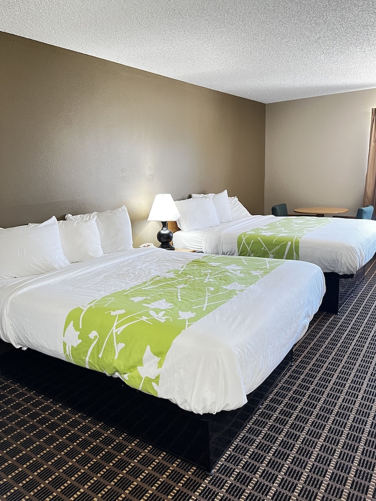 Basic, Single, 2 Double Beds, Accessible