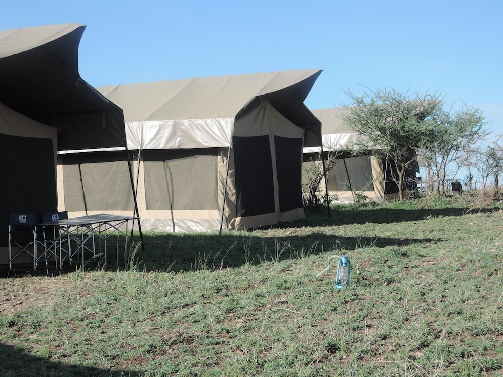 SERENGETI WILDEBEEST CAMP 25/55