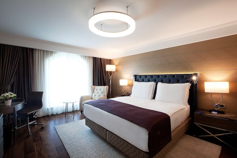 RADISSON BLU HOTEL ISTANBUL SISLI 14/67