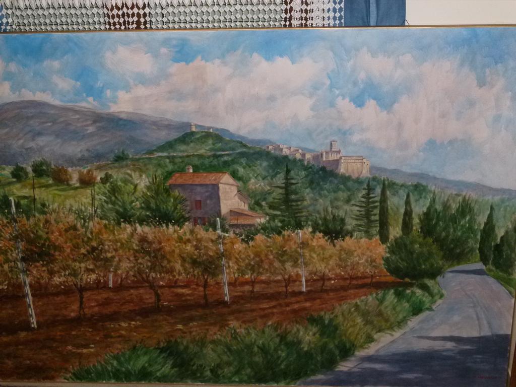 CAMPIGLIONE 38/41