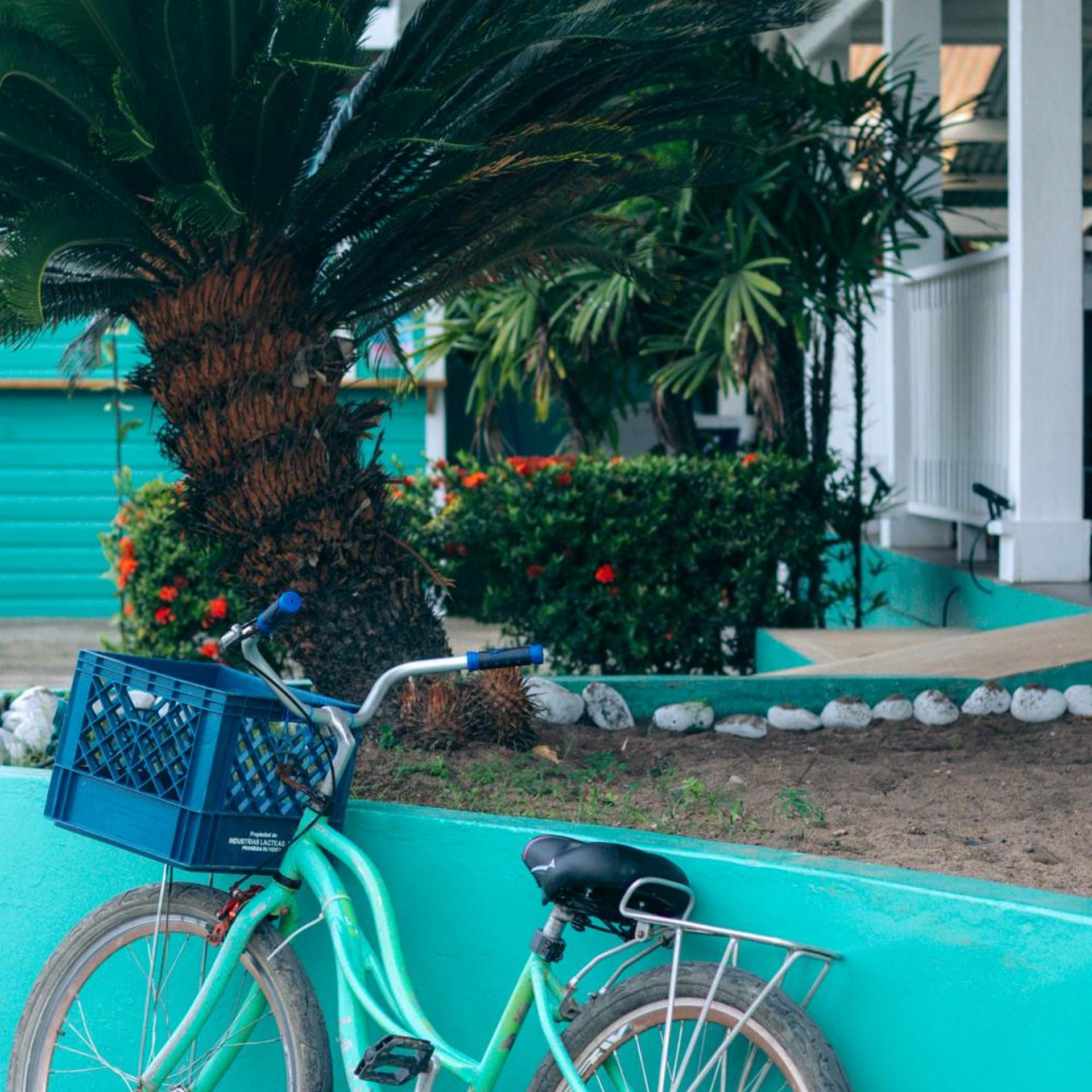 Gran Hotel Bahia 38/50