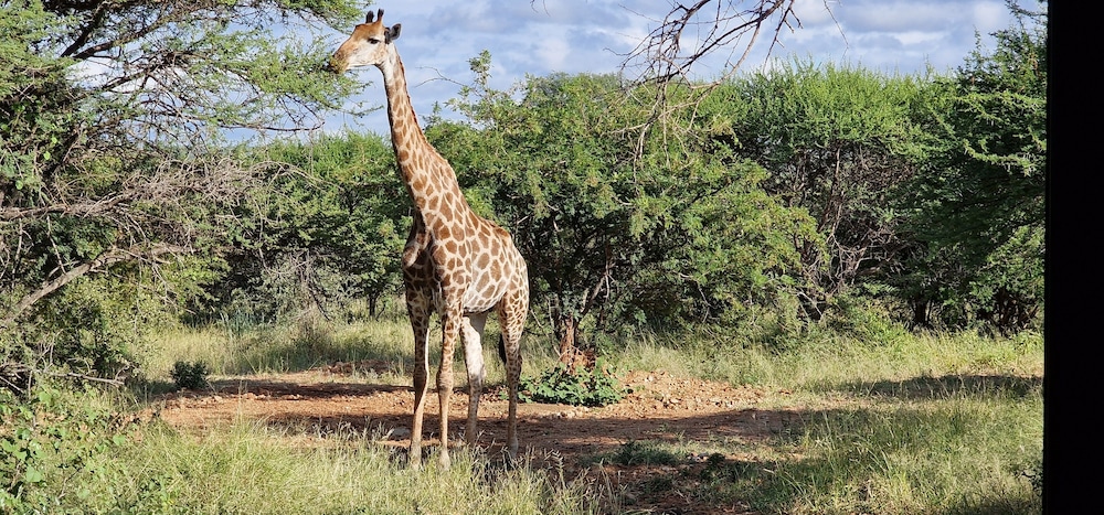 Thandolwami Bushlodge & Spa 19/26