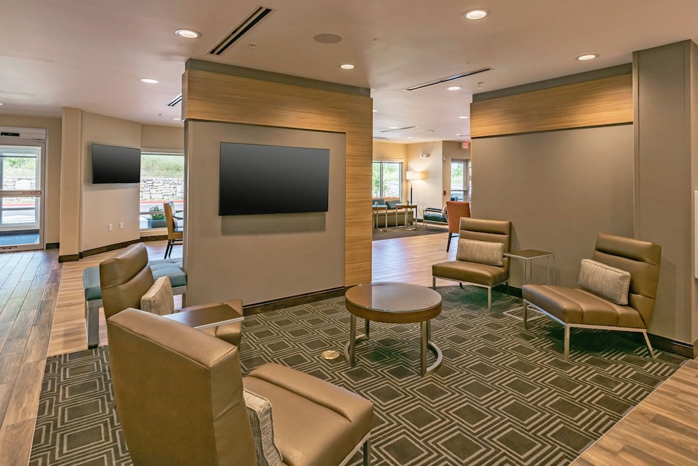 TownePlace Suites by Marriott Austin South 23/43