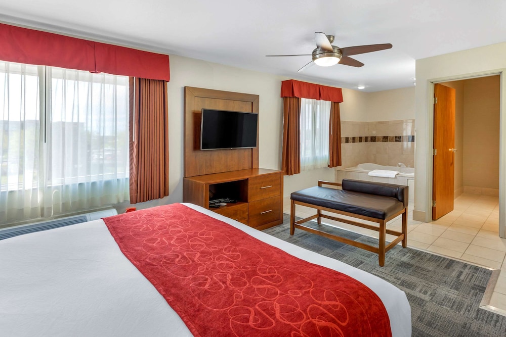 Comfort Suites Denver Tech Center 17/41