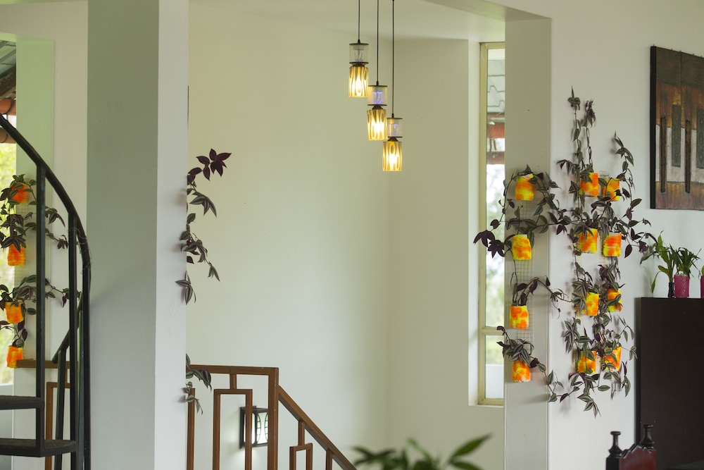 Dream Catcher Plantation Resort 7/50