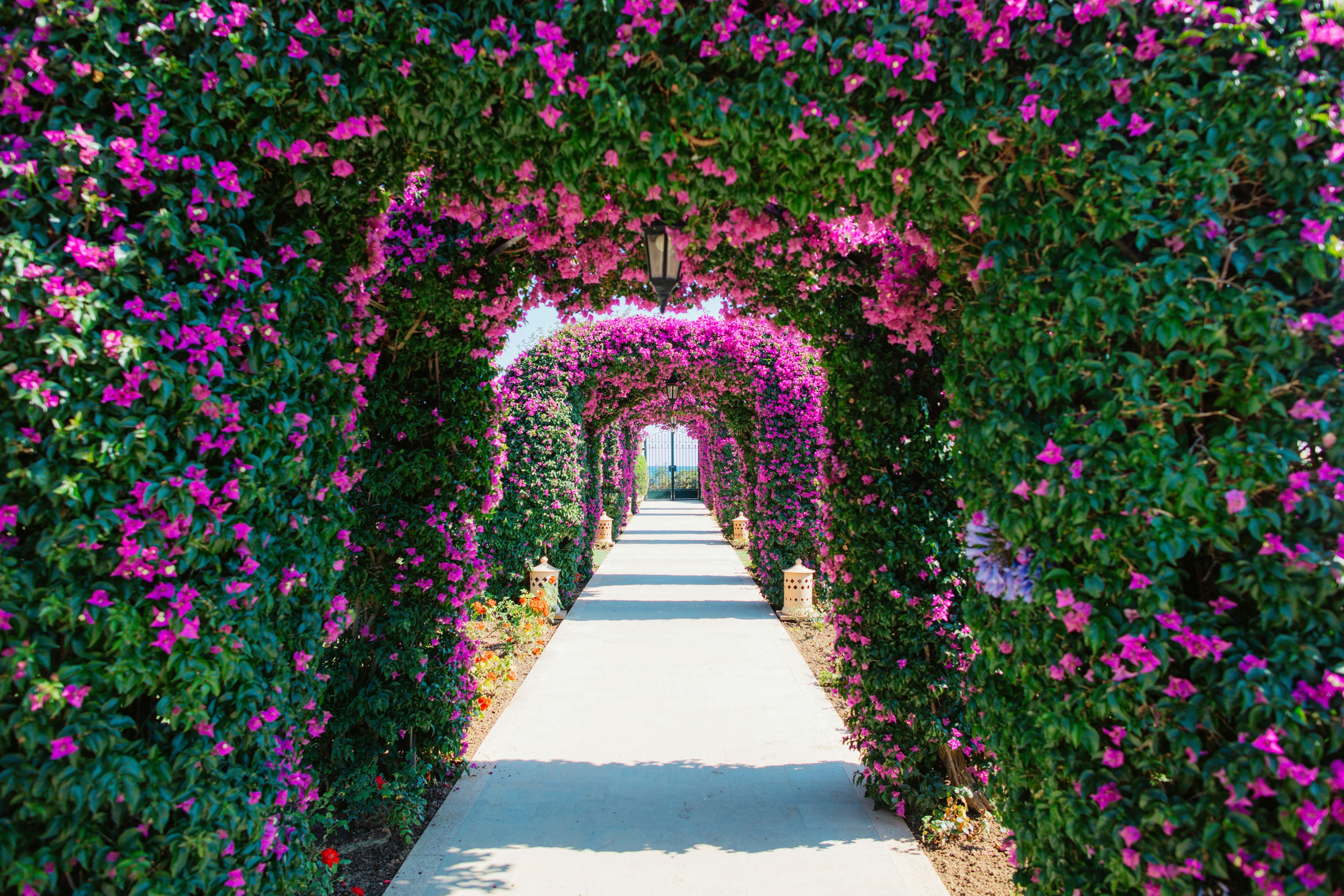 St Regis Mardavall Mallorca Resort 43/50