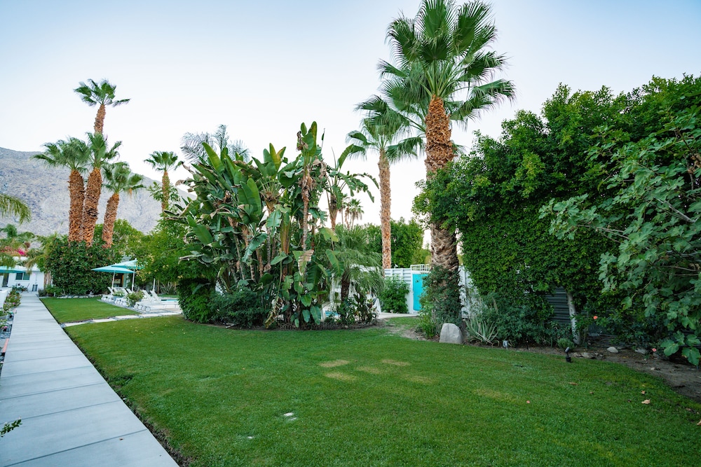 BelleVue Oasis-Palm Springs - Adults Only 51/62