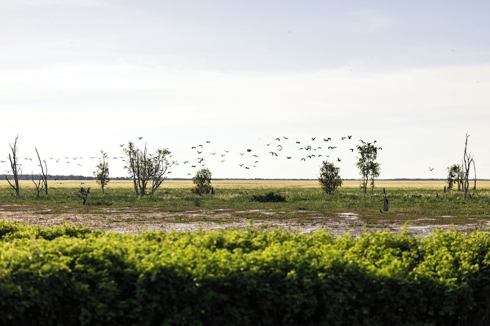 Bamurru Plains 41/44