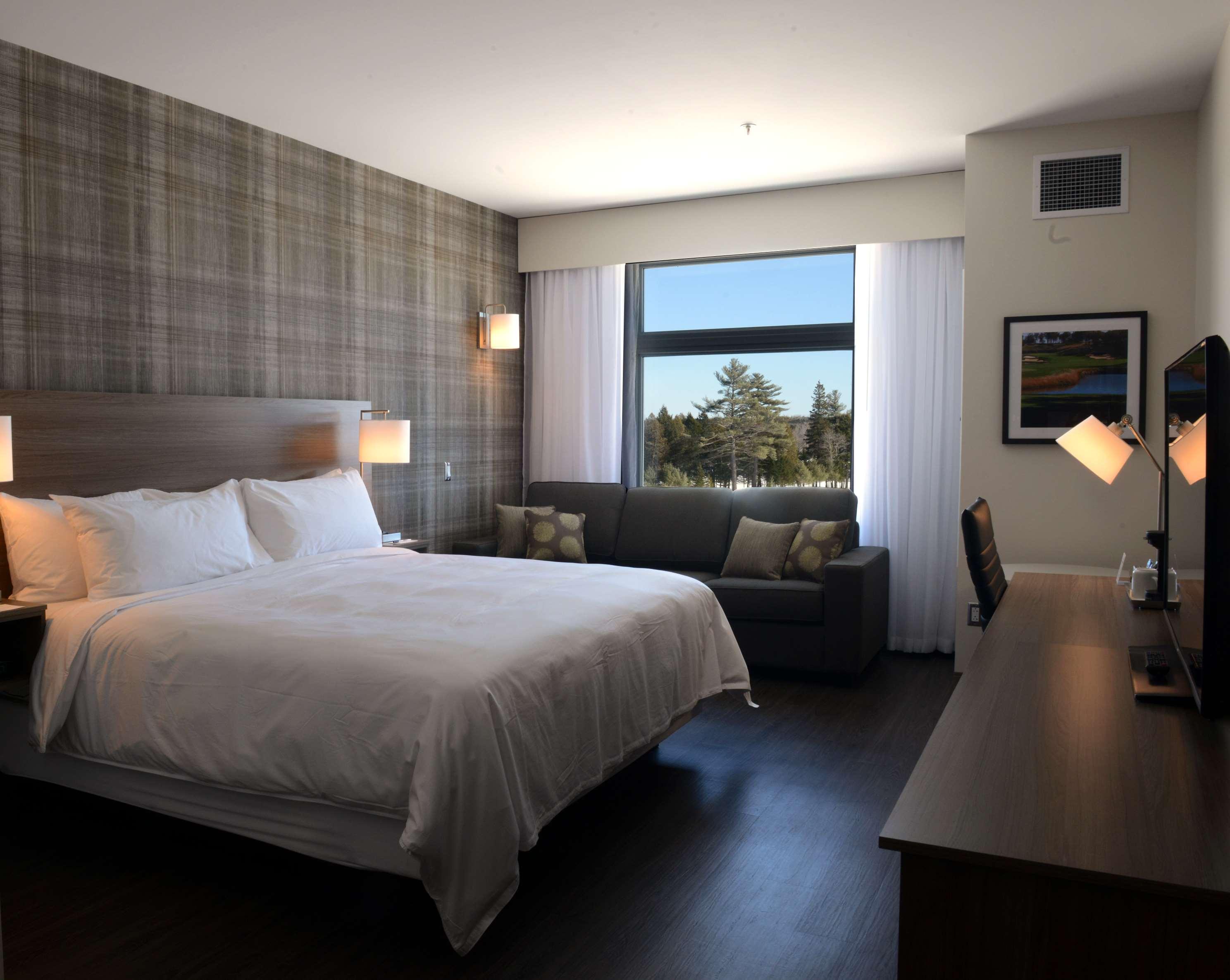 1 Bedroom, Suite, King Bed