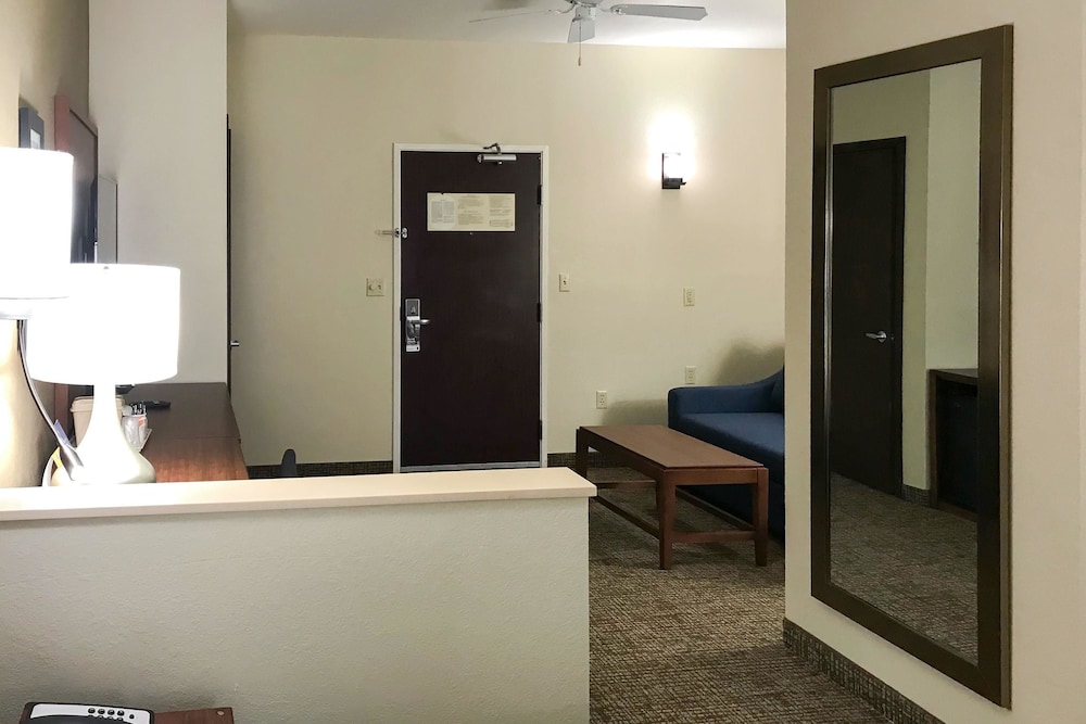 Comfort Inn and Suites Montgomery East Carmichael Rd 21/54